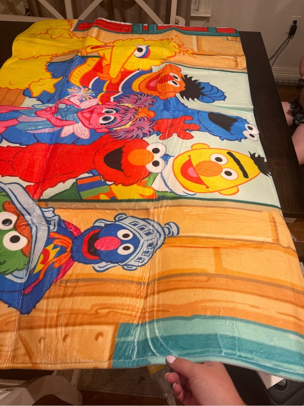 Sesame Street Character rug - Bright Multicolor